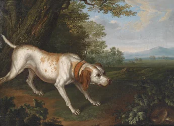 Un cane da caccia che fiuta la preda in un paesaggio